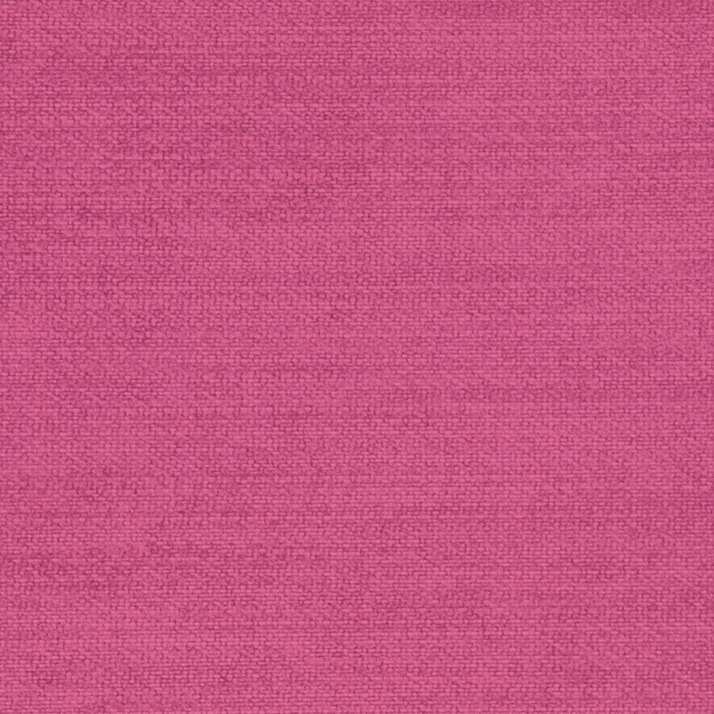Linen Orchid