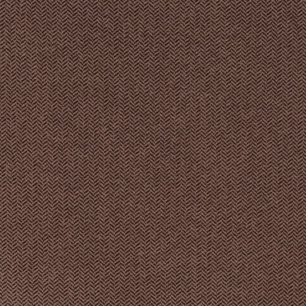 Nova Nutmeg