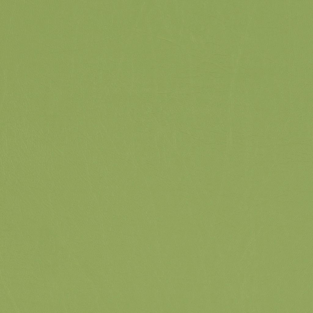 Grass