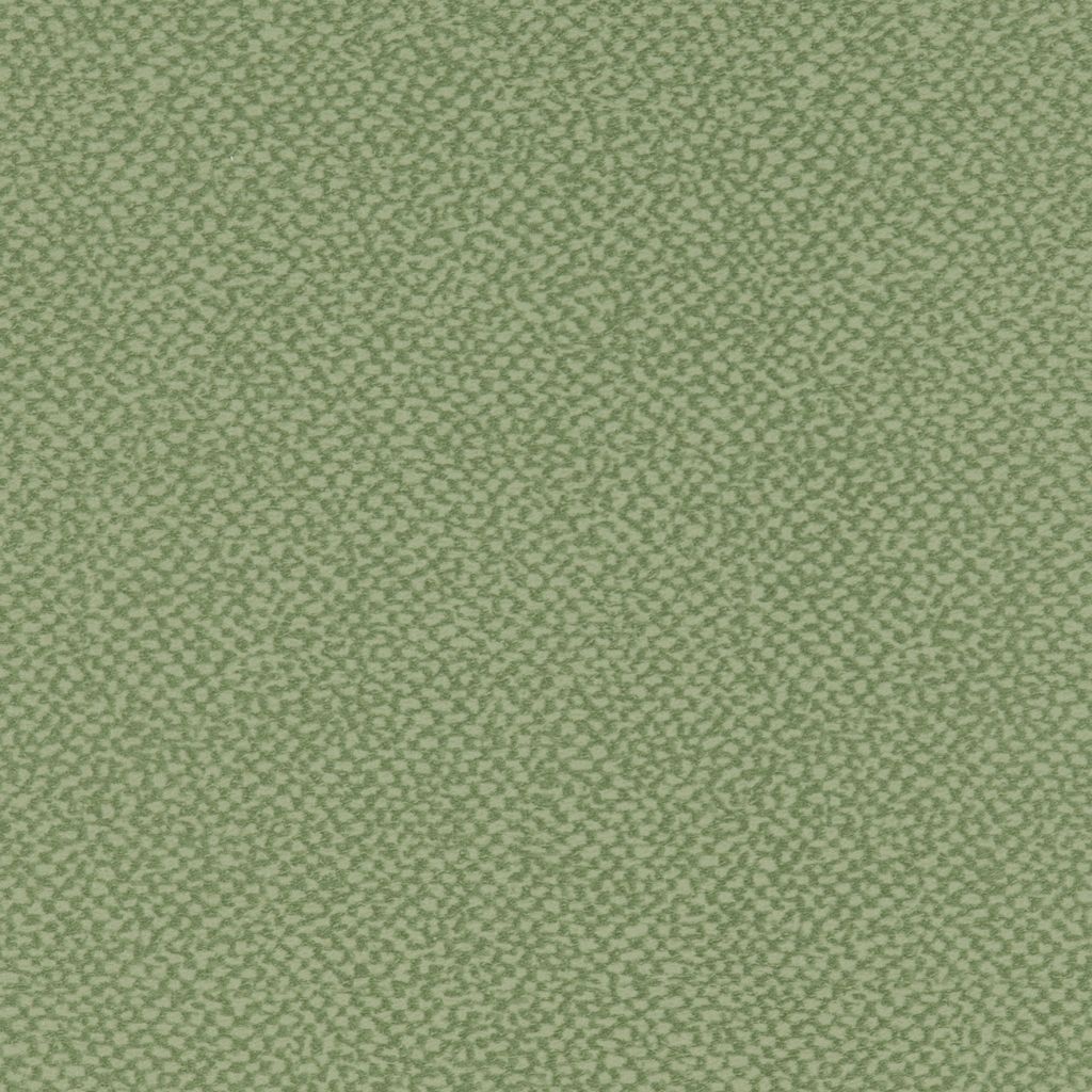 Aquarius Apple