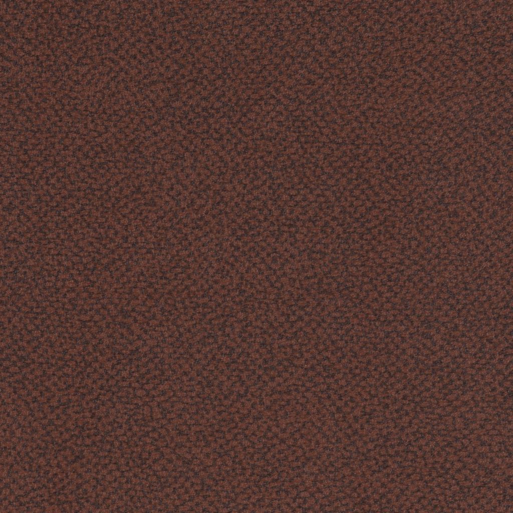 Aquarius Chestnut
