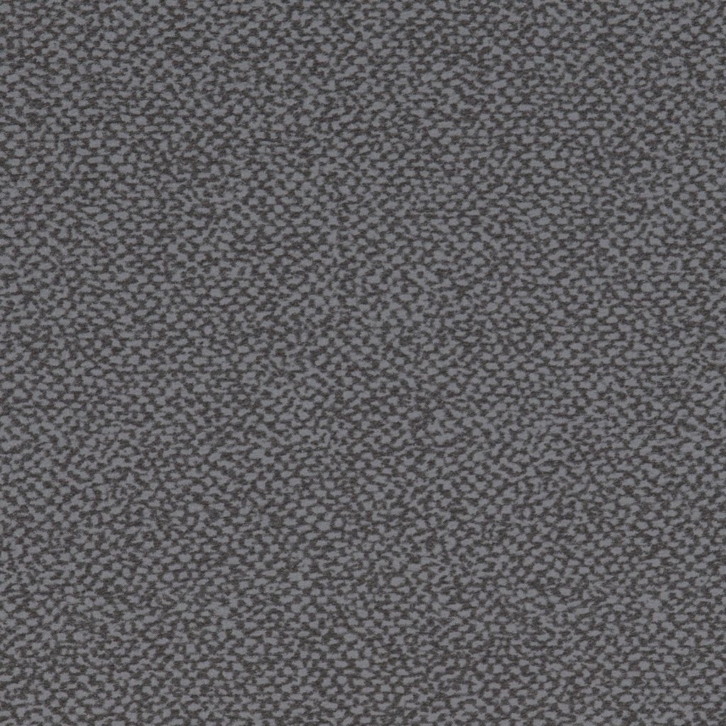 Aquarius Grey
