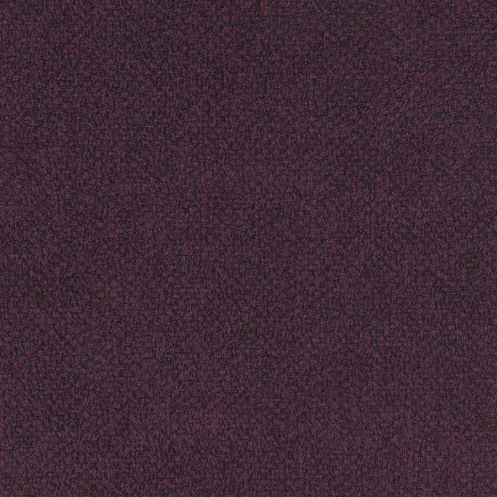 Aquarius Plum