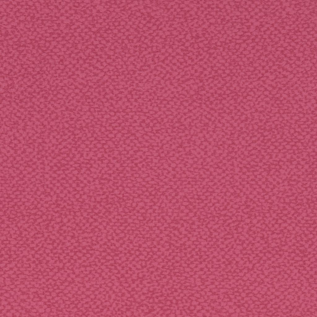 Aquarius Rose