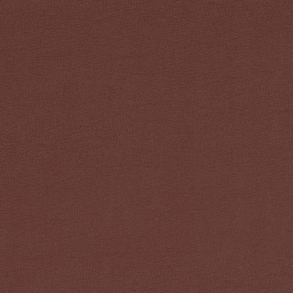 Scorpio Chestnut