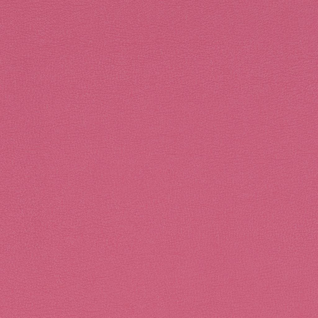 Scorpio Rose