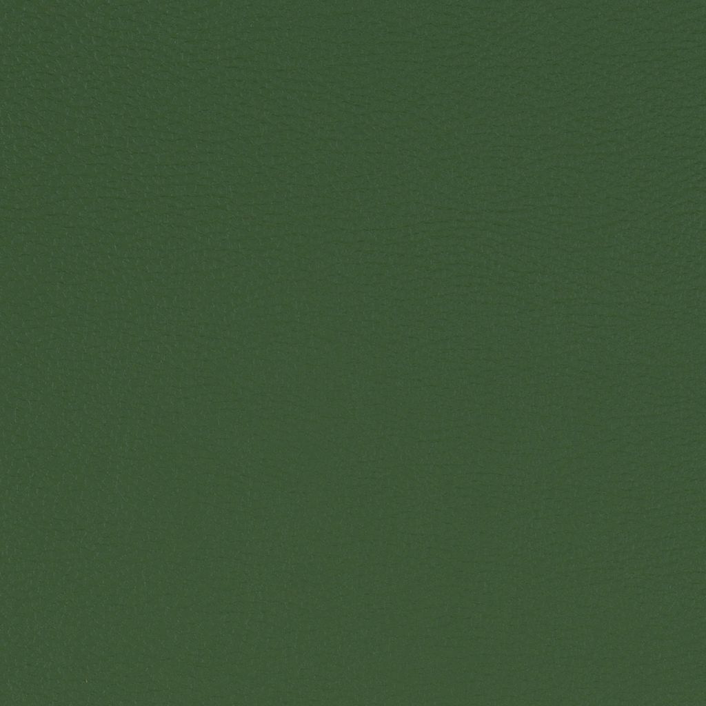 Grass