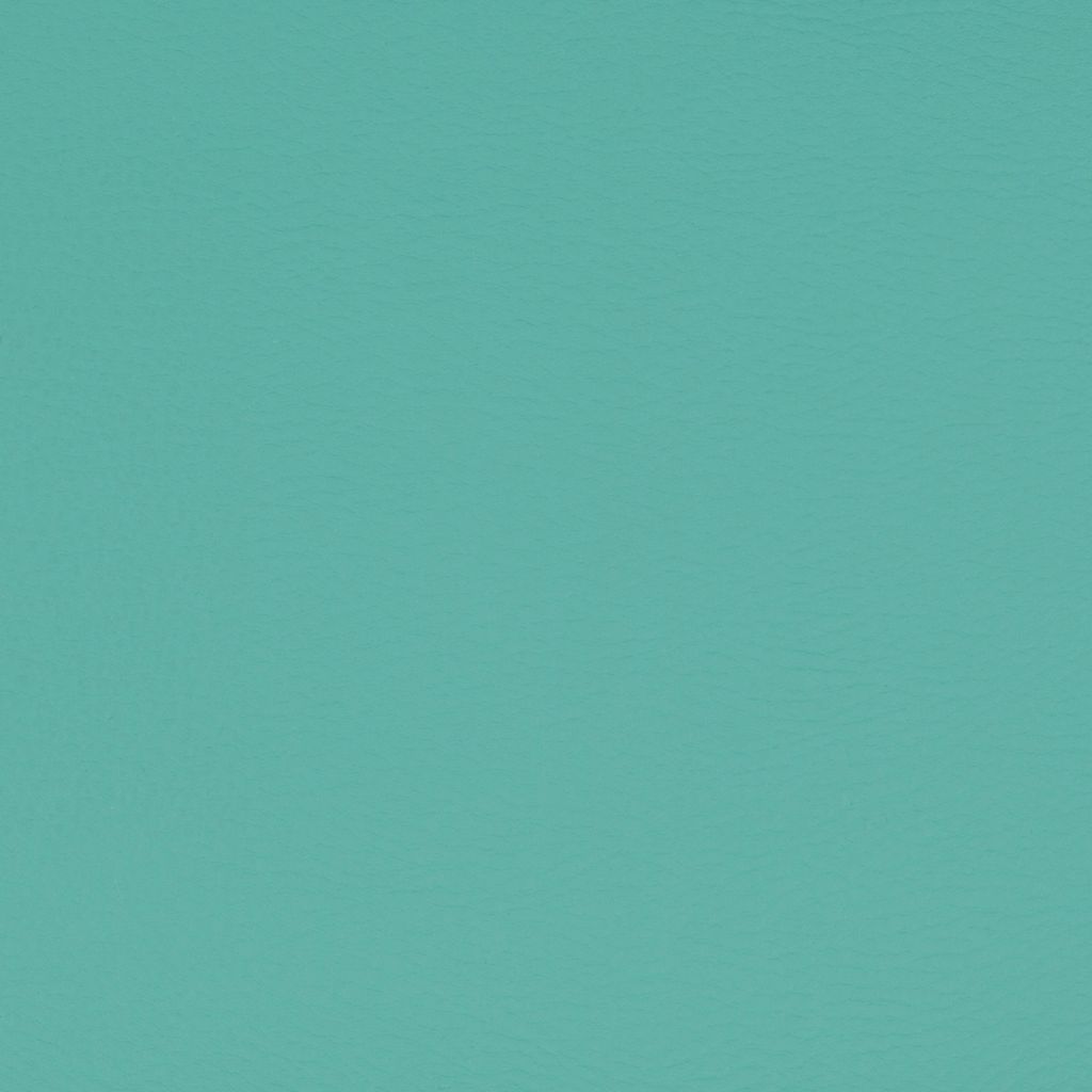 Spearmint