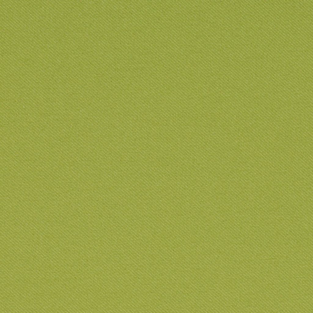 Margarita (Lime) flat image