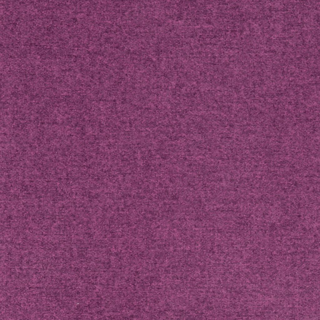 Buro Thistle