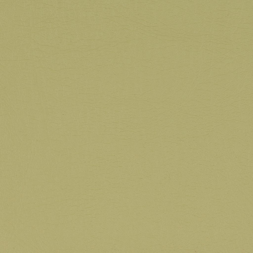 Vinyl Fern flat image