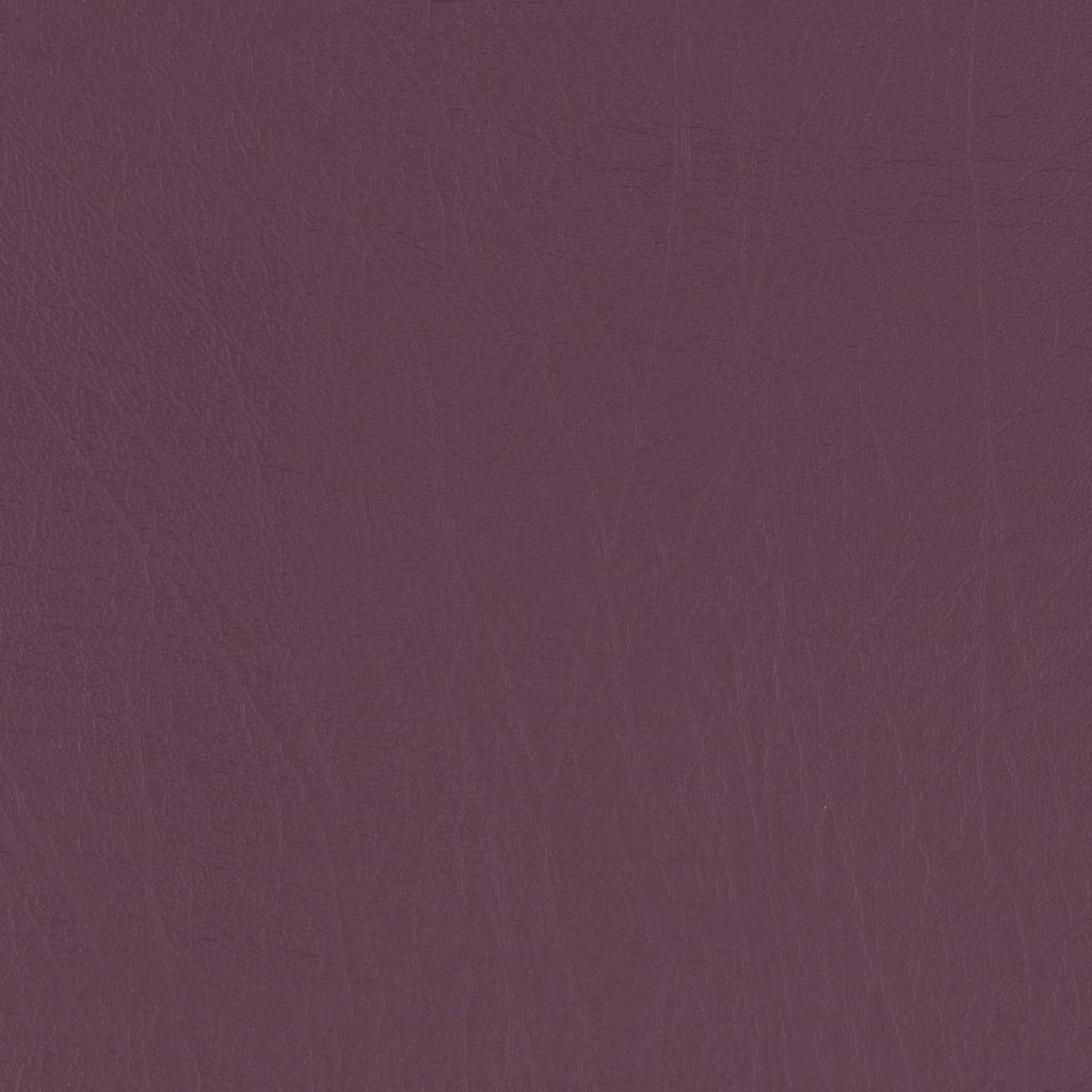 Vinyl Wine