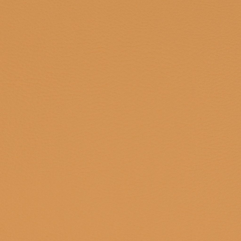 Stol Mustard