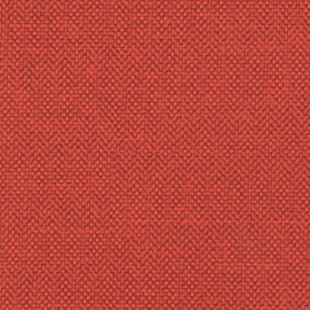 Entwine Tomato
