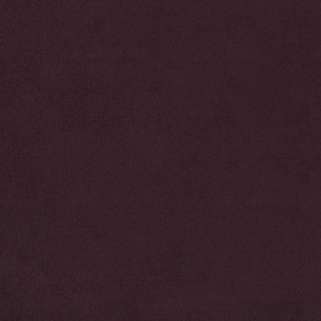 Primeira Aubergine flat image