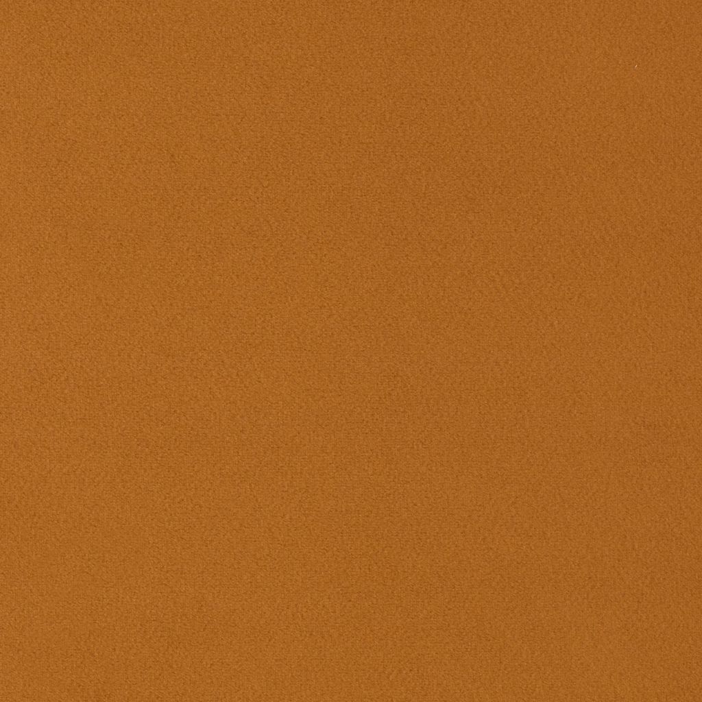 Primeira Cinnamon