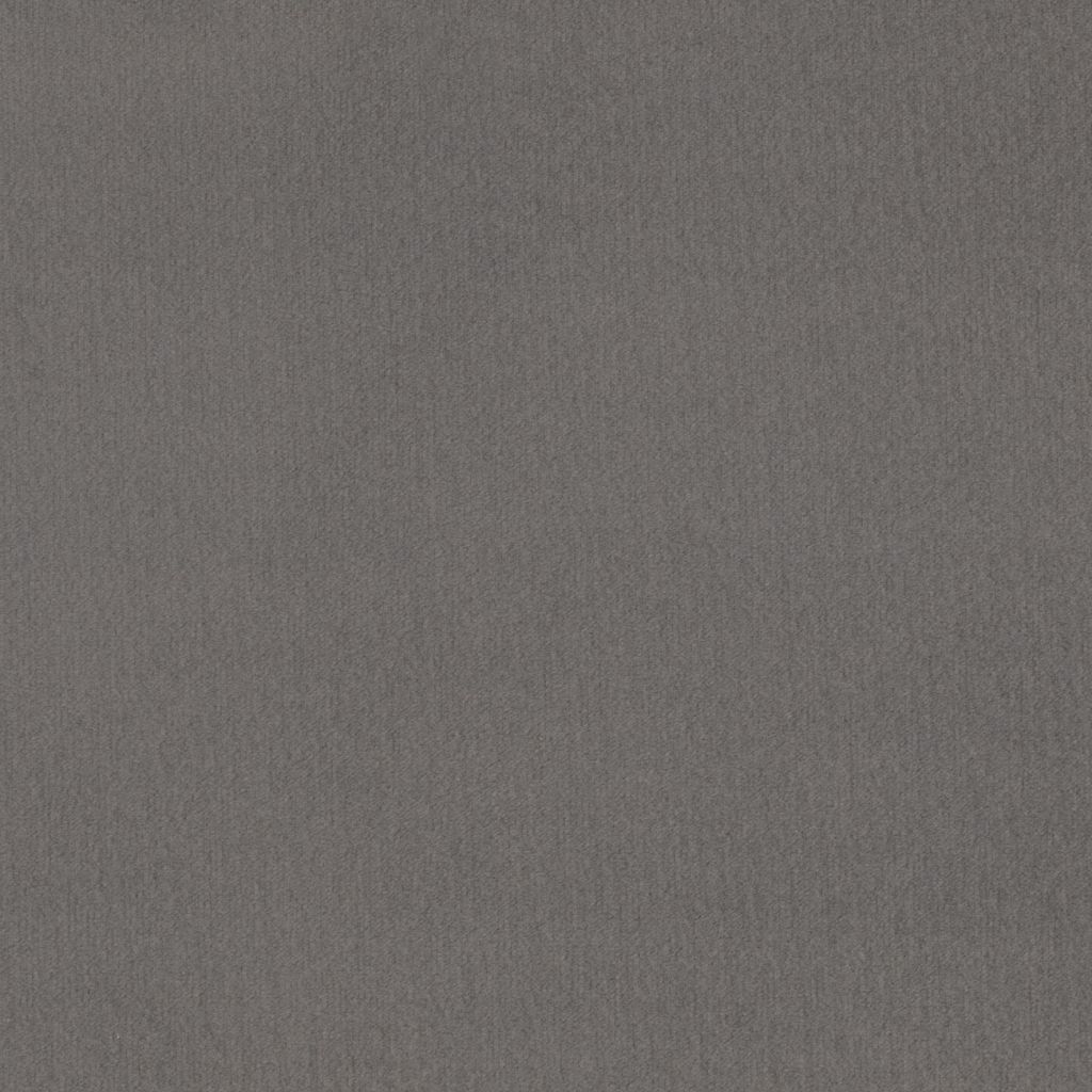 Primeira Grey