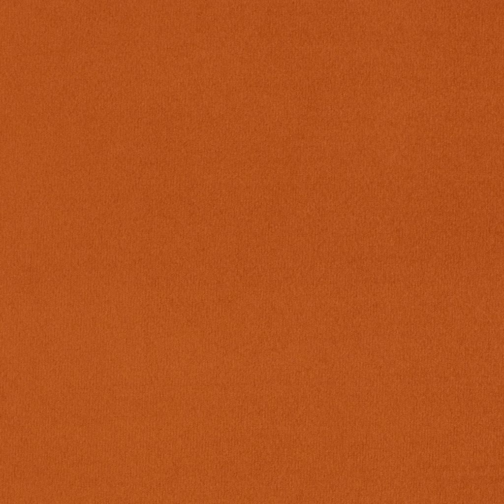 Primeira Marigold