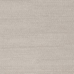 Agua_Fabrics-1209_F_Parody_Linen_LightGrey150mm_x_150mm_300dpi.jpg