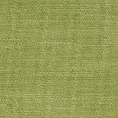 Agua_Fabrics-1210_F_Parody_Linen_Lime150mm_x_150mm_300dpi.jpg