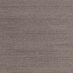 Agua_Fabrics-1217_F_Parody_Linen_Slate150mm_x_150mm_300dpi.jpg