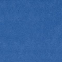 Agua_Fabrics-1301_F_Libra_Royal150mm_x_150mm_300dpi.jpg
