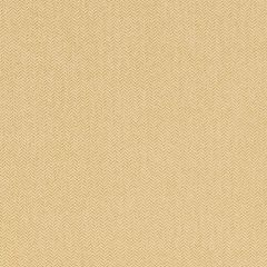 Agua_Fabrics-1346_F_Nova_Lemon150mm_x_150mm_300dpi.jpg