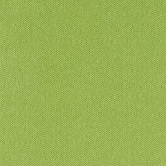 Agua_Fabrics-1347_F_Nova_Lime150mm_x_150mm_300dpi.jpg