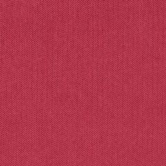Agua_Fabrics-1353_F_Nova_Raspberry150mm_x_150mm_300dpi.jpg