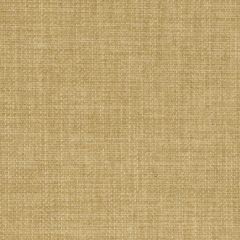Agua_Fabrics-1375_F_Linetta_Olive150mm_x_150mm_300dpi.jpg