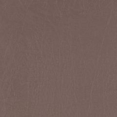 Agua_Fabrics-1392_F_Taurus_Bark150mm_x_150mm_300dpi.jpg