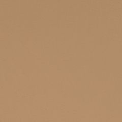 Agua_Fabrics-1396_F_Taurus_Caramel150mm_x_150mm_300dpi.jpg