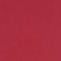 Agua_Fabrics-1397_F_Taurus_Carmine150mm_x_150mm_300dpi.jpg