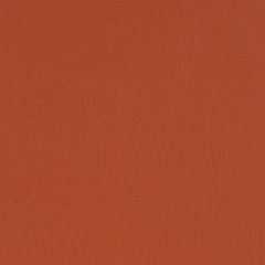 Agua_Fabrics-1398_F_Taurus_Chilli150mm_x_150mm_300dpi.jpg