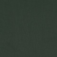Agua_Fabrics-1402_F_Taurus_Conifer150mm_x_150mm_300dpi.jpg