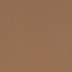 Agua_Fabrics-1407_F_Taurus_Fudge150mm_x_150mm_300dpi.jpg