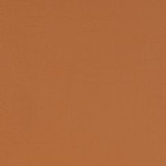 Agua_Fabrics-1428_F_Taurus_Spice150mm_x_150mm_300dpi.jpg