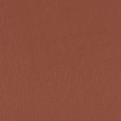 Agua_Fabrics-1430_F_Taurus_Tan150mm_x_150mm_300dpi.jpg