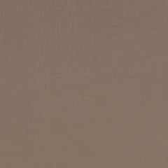 Agua_Fabrics-1431_F_Taurus_Taupe150mm_x_150mm_300dpi.jpg