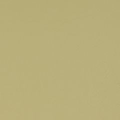 Agua_Fabrics-1438_F_Taurus_Fennel150mm_x_150mm_300dpi.jpg