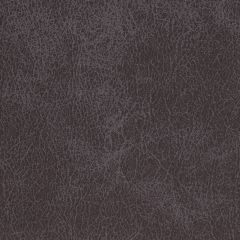 Agua_Fabrics-1485_F_Alberta_Charcoal150mm_x_150mm_300dpi.jpg