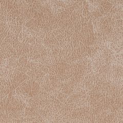 Agua_Fabrics-1486_F_Alberta_Cream150mm_x_150mm_300dpi.jpg