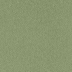 Agua_Fabrics-1539_F_Lunar_Aquarius_Apple150mm_x_150mm_300dpi.jpg