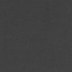 Agua_Fabrics-1569_F_Lunar_Scorpio_DarkGrey150mm_x_150mm_300dpi.jpg