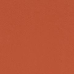 Agua_Fabrics-1585_F_PaintPot_BurntOrange150mm_x_150mm_300dpi.jpg