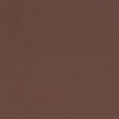 Agua_Fabrics-1586_F_PaintPot_Chestnut150mm_x_150mm_300dpi.jpg