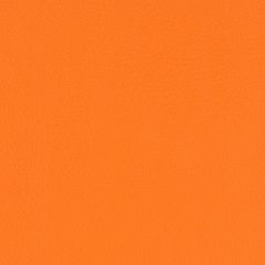Agua_Fabrics-1593_F_PaintPot_Orange150mm_x_150mm_300dpi.jpg