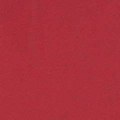 Agua_Fabrics-1597_F_Paintpot_Scarlet150mm_x_150mm_300dpi.jpg