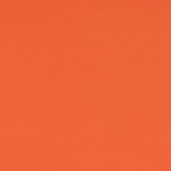 Agua_Fabrics-1608_F_Aries_Carrot150mm_x_150mm_300dpi.jpg