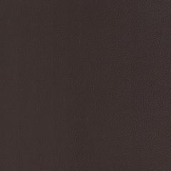 Agua_Fabrics-1612_F_Aries_DarkBrown150mm_x_150mm_300dpi.jpg